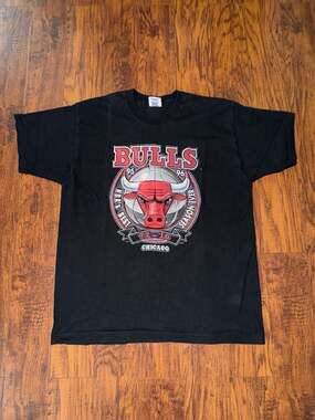 Vintage Pro Player Chicago Bulls 1995-96 72-10 Best Season Ever T-Shirt Size XL